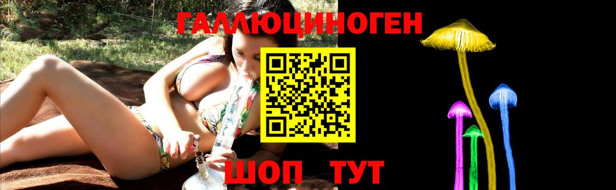 Сибай  Псилоцибиновые грибы прущие грибы  Вход с VPN 